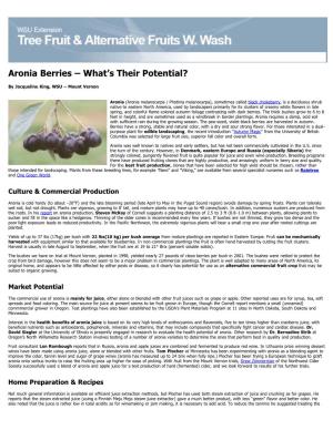 Aronia Berries – What's Their Potential?