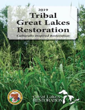 Tribal Great Lakes Restoration Culturally Inspired Restoration Sabin Dam Removal - Grand Traverse Band