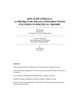 A Critique of Social Constructivist Excesses in Political Theory