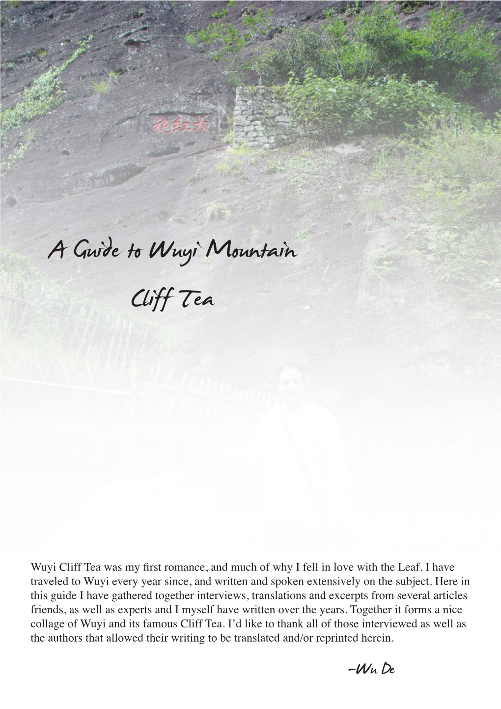 A Guide to Wuyi Mountain Cliff Tea