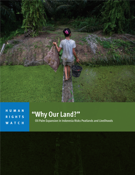 “Why Our Land?” Oil Palm Expansion in Indonesia Risks Peatlands and Livelihoods WATCH