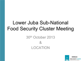 Lower Juba Sub-National Food Security Cluster Meeting
