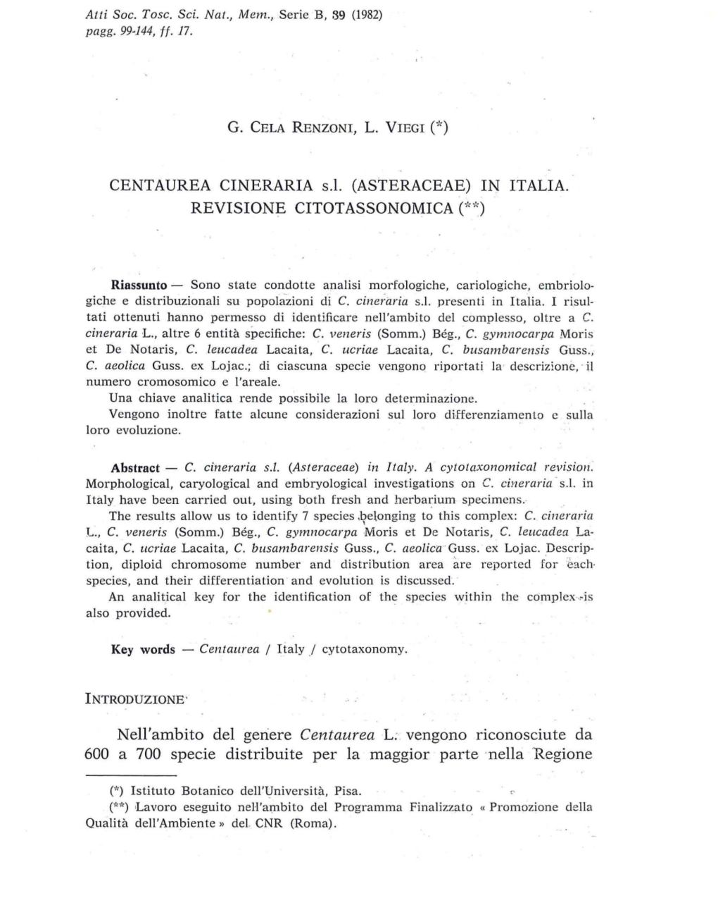 G. CELA RENZONI, L. VIEGI C) CENTAUREA CINERARIA Sl