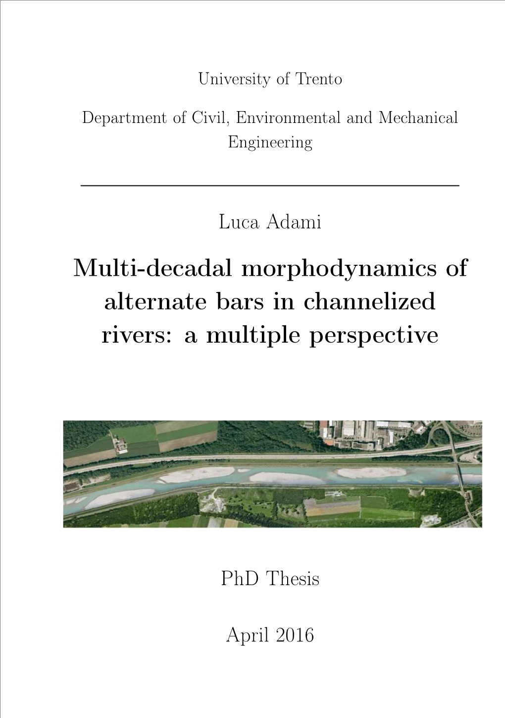 Multi-Decadal Morphodynamics of Alternate Bars in Channelized Rivers: a Multiple Perspective