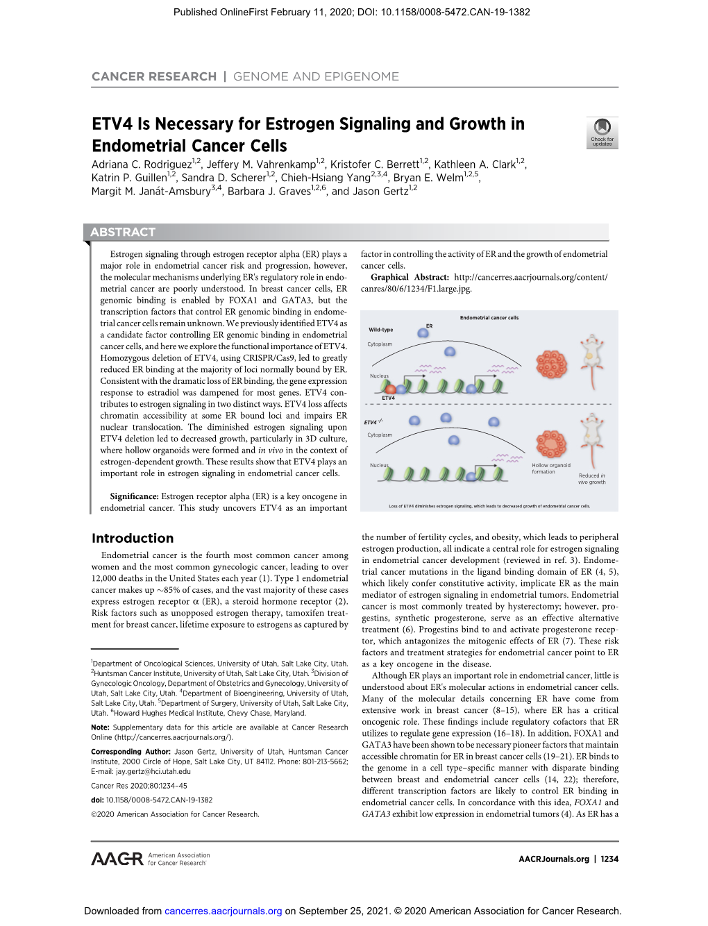 ETV4 Is Necessary for Estrogen Signaling and Growth in Endometrial Cancer Cells Adriana C