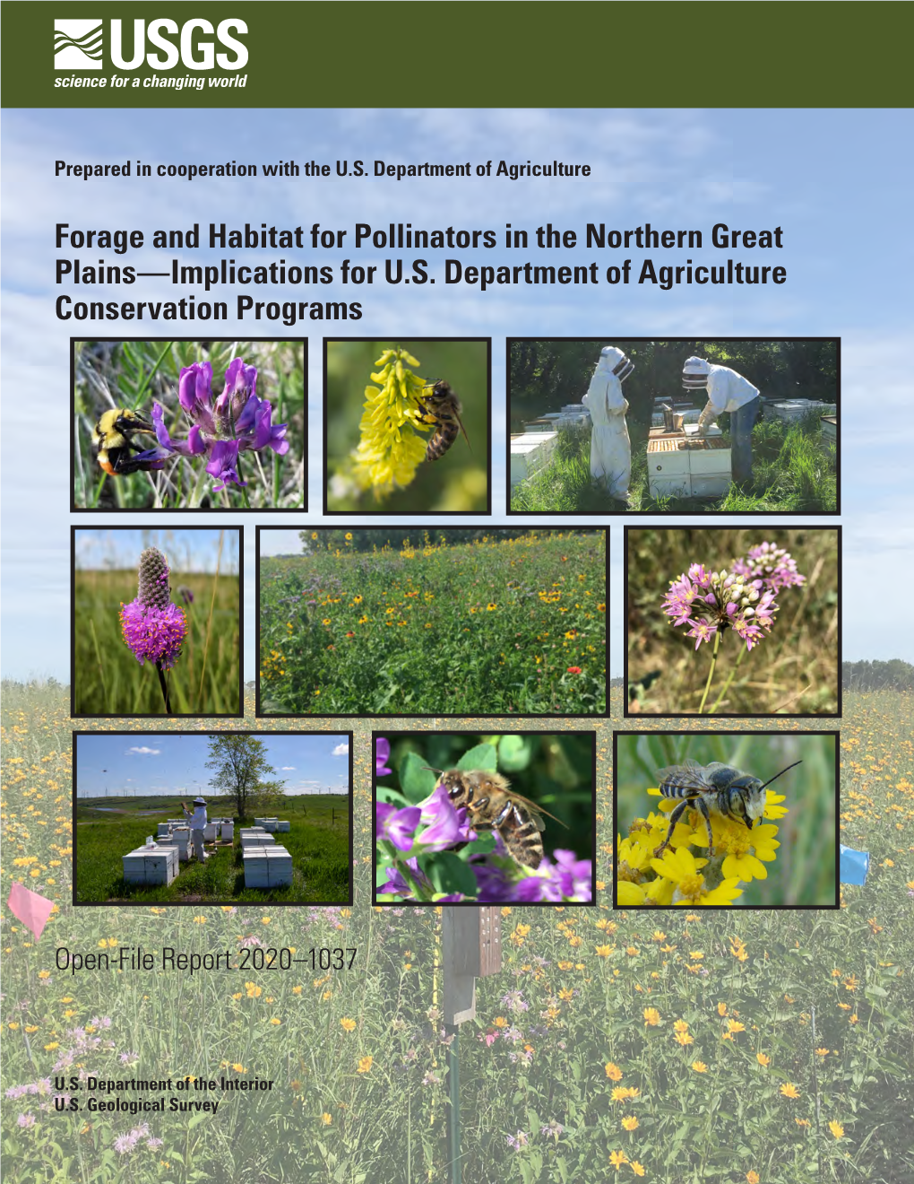 Forage and Habitat for Pollinators in the Northern Great Plains—Implications for U.S