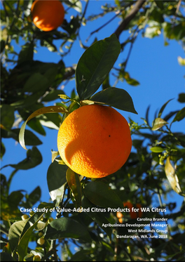 Case Study of Citrus Value Added Products