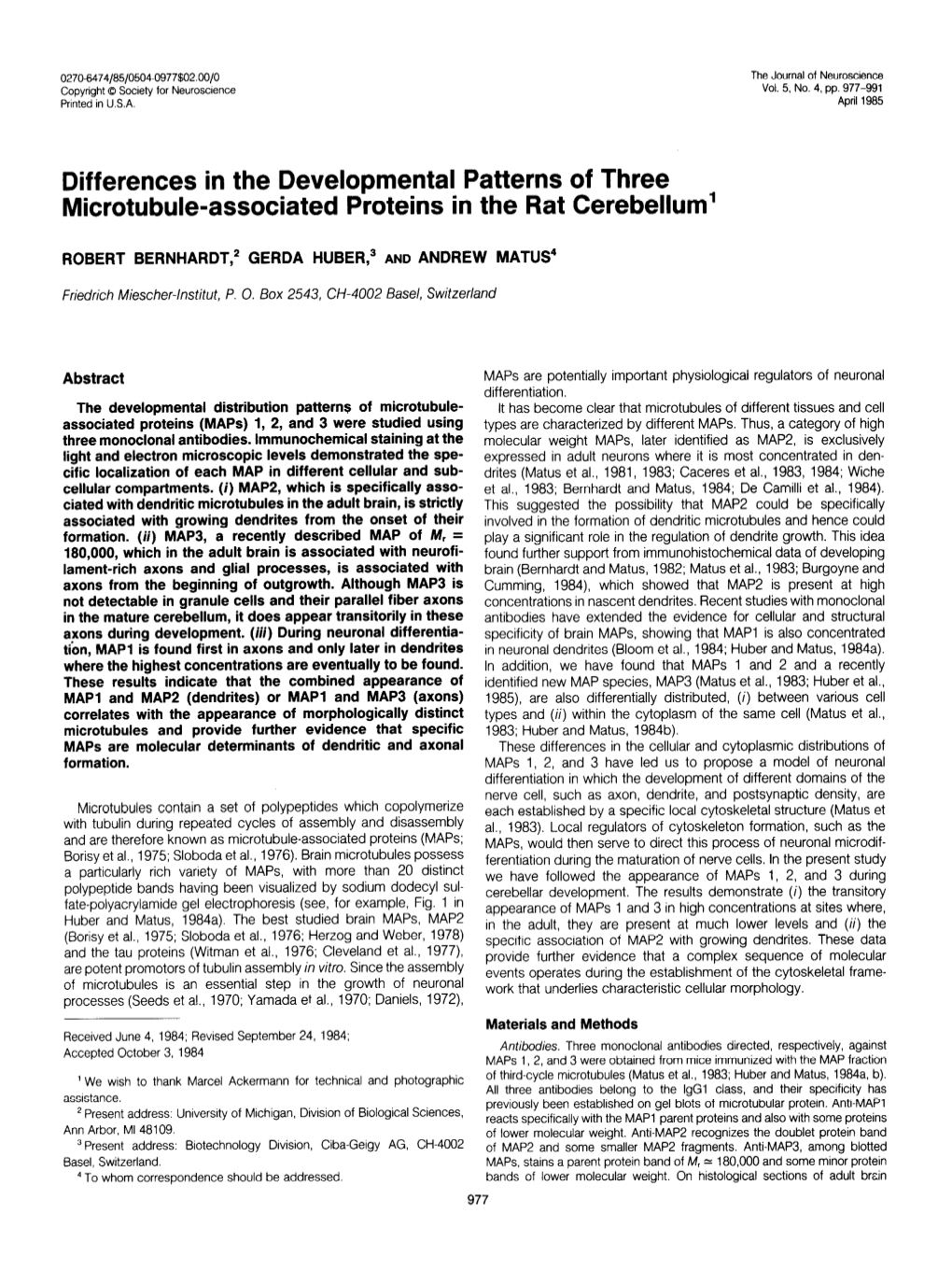 Differences in the Developmental Patterns of Three Microtubule-Associated Proteins in the Rat Cerebellum’