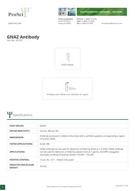 GNAZ Antibody Cat