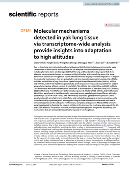 Molecular Mechanisms Detected in Yak Lung Tissue Via Transcriptome