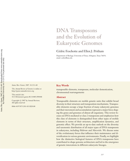 DNA Transposons and the Evolution of Eukaryotic Genomes