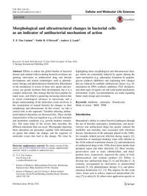 Morphological and Ultrastructural Changes in Bacterial Cells As an Indicator of Antibacterial Mechanism of Action