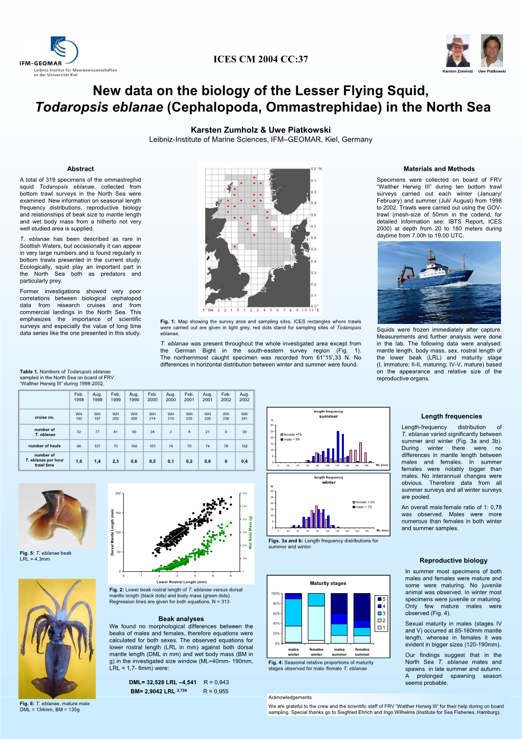 Todaropsis Eblanae (Cephalopoda, Ommastrephidae) in the North Sea