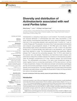 Diversity and Distribution of Actinobacteria Associated with Reef Coral Porites Lutea
