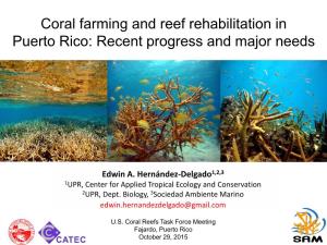 Coral Farming and Reef Rehabilitation in Puerto Rico: Recent Progress and Major Needs