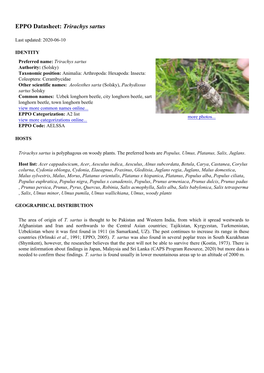 EPPO Datasheet: Trirachys Sartus