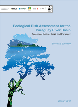Ecological Risk Assessment for the Paraguay River Basin Argentina, Bolivia, Brazil and Paraguay