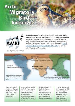 Migratory Birds Initiative Red Knot, a Priority Knot, Red Species for AMBI 2015-2019