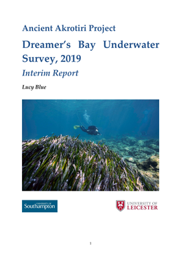 Dreamer's Bay Underwater Survey, 2019