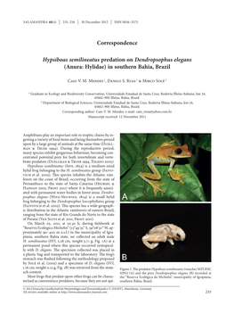 Hypsiboas Semilineatus Predation on Dendropsophus Elegans (Anura: Hylidae) in Southern Bahia, Brazil