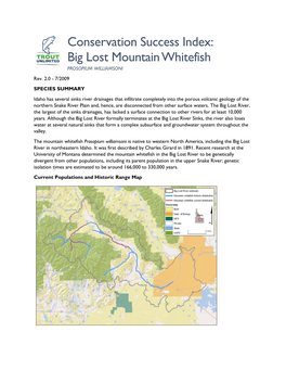 Big Lost Mountain Whitefish PROSOPIUM WILLIAMSONI Rev