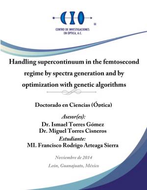 Handling Supercontinuum in the Femtosecond Regime by Spectra Generation and by Optimization with Genetic Algorithms