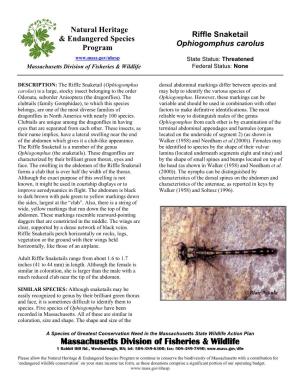 Riffle Snaketail & Endangered Species Ophiogomphus Carolus Program