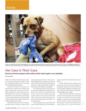 Her Casa Is Their Casa Kennel Enrichment Program Makes Indiana Shelter Dogs Happier, More Adoptable