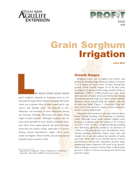 Grain Sorghum Irrigation