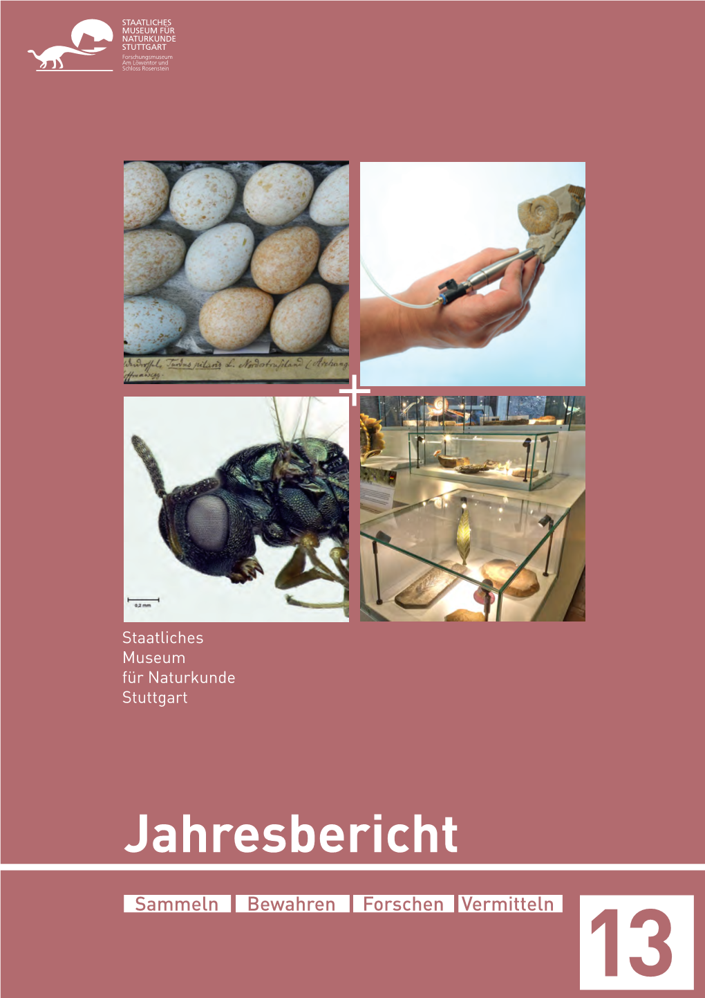 Jahresbericht 2013