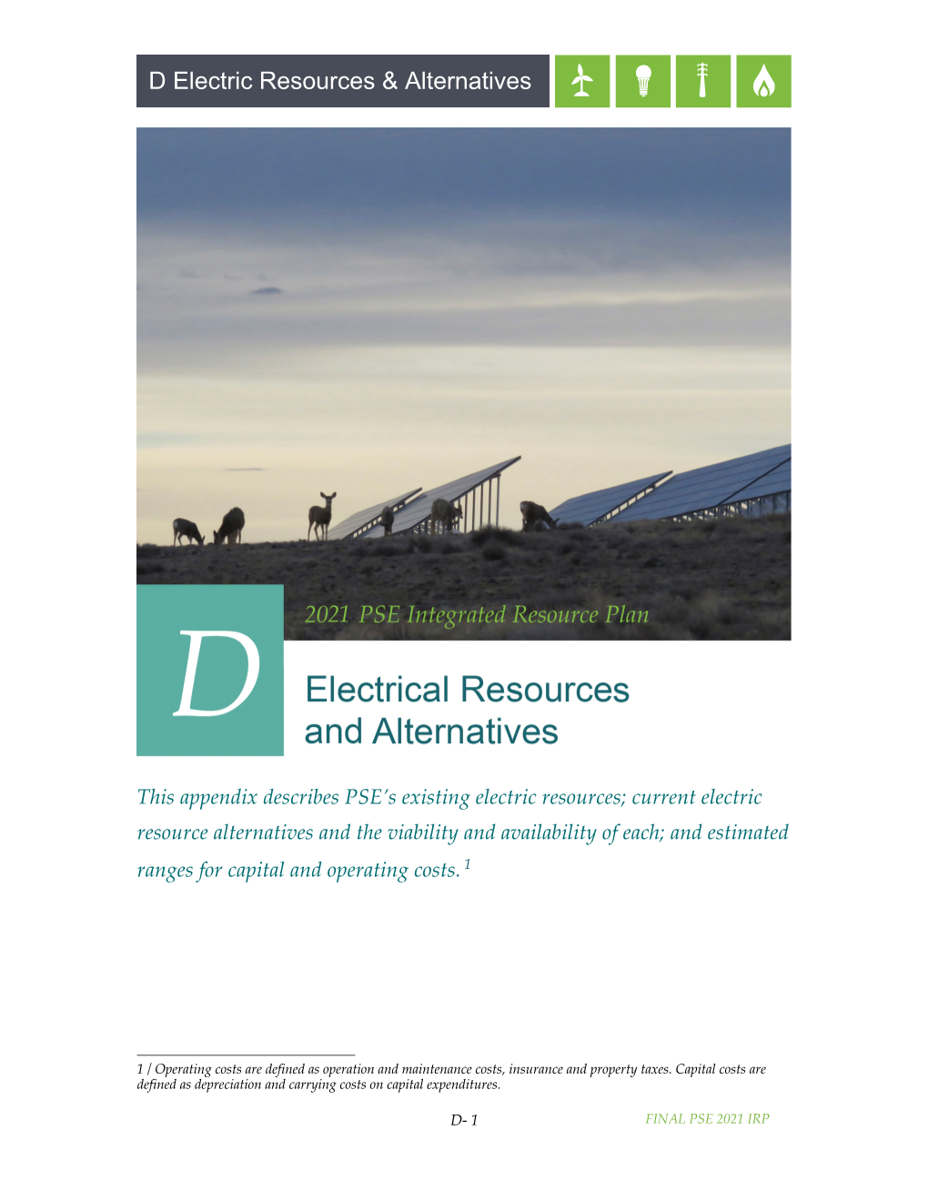 D Electric Resources & Alternatives