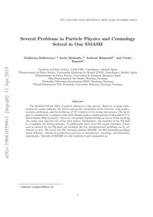 Several Problems in Particle Physics and Cosmology Solved in One SMASH