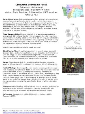 Utricularia Intermedia Hayne Flat-Leaved Bladderwort Lentibulariaceae - Bladderwort Family Status: State Sensitive, BLM Sensitive, USFS Sensitive Rank: G5 / S2