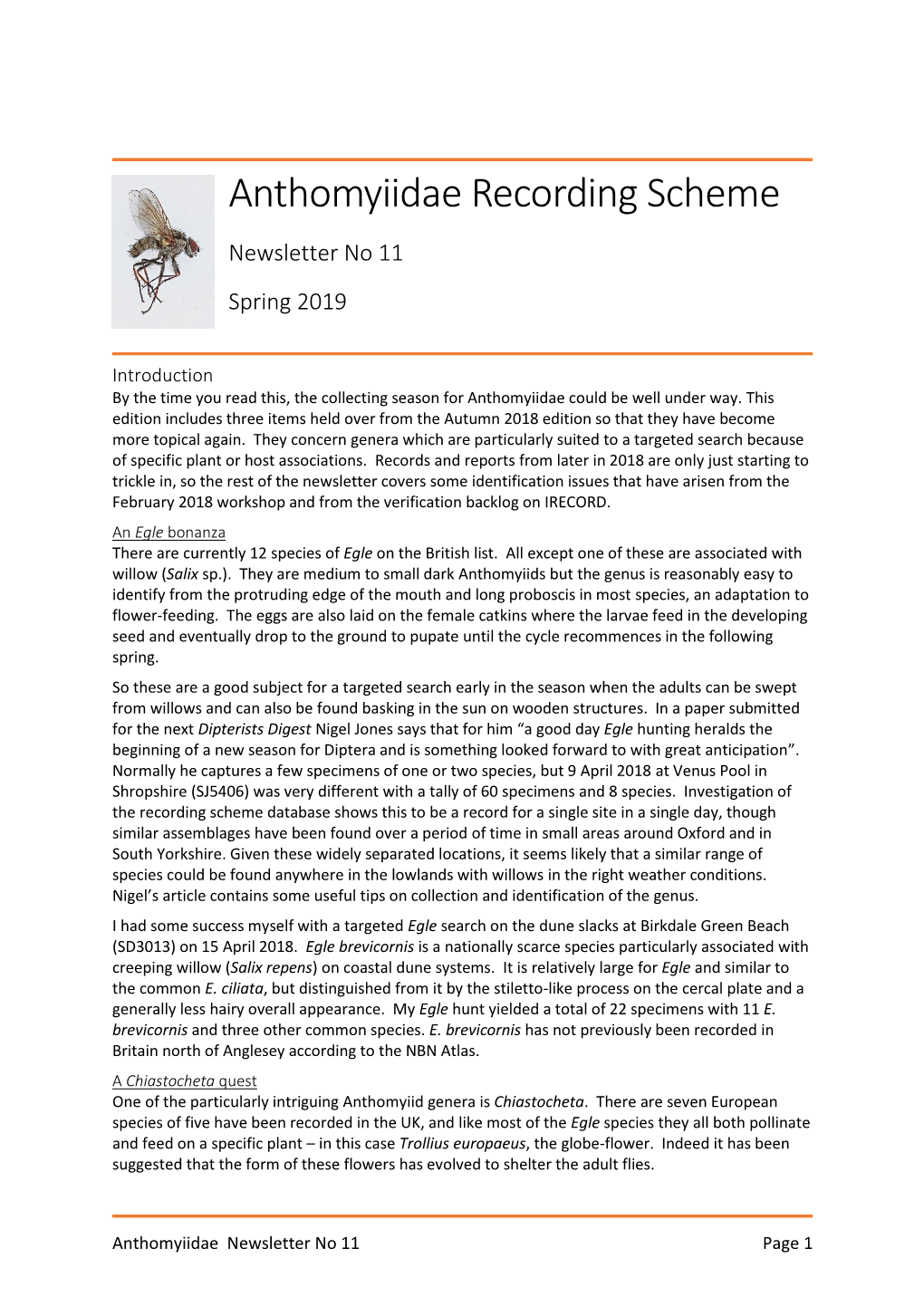 Anthomyiidae Recording Scheme Newsletter No 11 Spring 2019