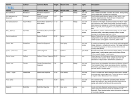 Species Cultivar Common Name Height Bloom Time Color Light
