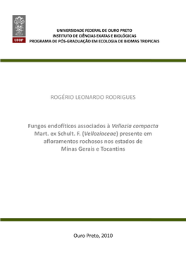 ROGÉRIO LEONARDO RODRIGUES Fungos Endofíticos Associados À