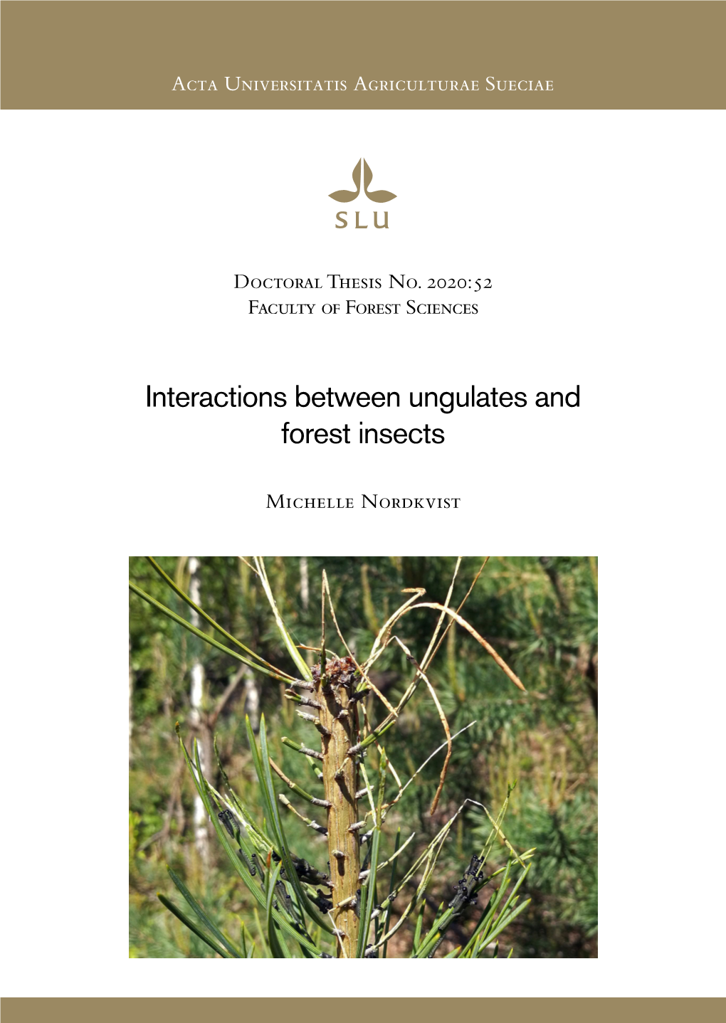 Interactions Between Ungulates and Forest Insects Michelle Nordkvist