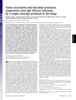 Tumor-Associated and Microbial Proteases Compromise Host Igg Effector Functions by a Single Cleavage Proximal to the Hinge