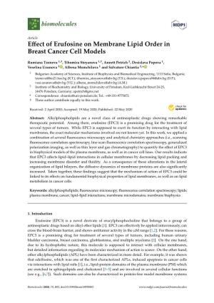 Effect of Erufosine on Membrane Lipid Order in Breast Cancer Cell Models