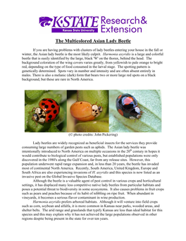 The Asian Multicolored Lady Beetle, Harmonia Axyridis