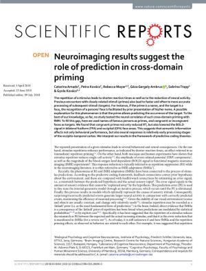 Neuroimaging Results Suggest the Role of Prediction in Cross-Domain Priming