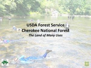 Snorkeling in the Cherokee National Forest