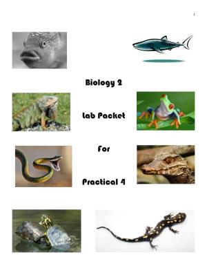 Biology 2 Lab Packet for Practical 4