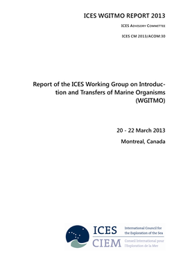 Ices Wgitmo Report 2013