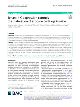 Tenascin-C Expression Controls the Maturation of Articular Cartilage In