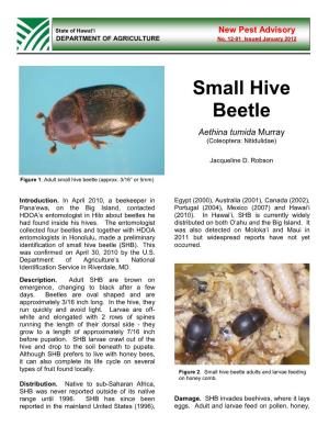 Small Hive Beetle