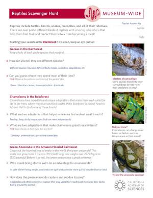 Answer Key Reptiles Include Turtles, Lizards, Snakes, Crocodiles, and All of Their Relatives