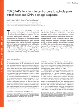 CDK5RAP2 Functions in Centrosome to Spindle Pole Attachment and DNA Damage Response