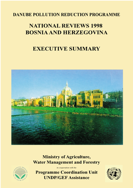 National Reviews 1998 Bosnia and Herzegovina Executive