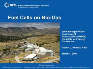 Fuel Cells on Bio-Gas